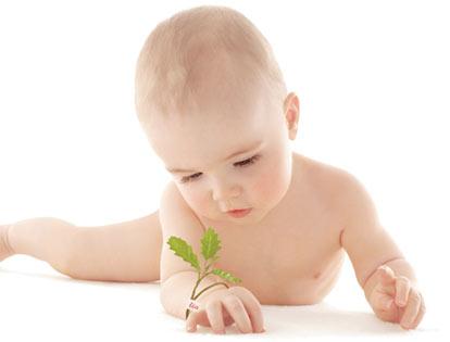 bébé